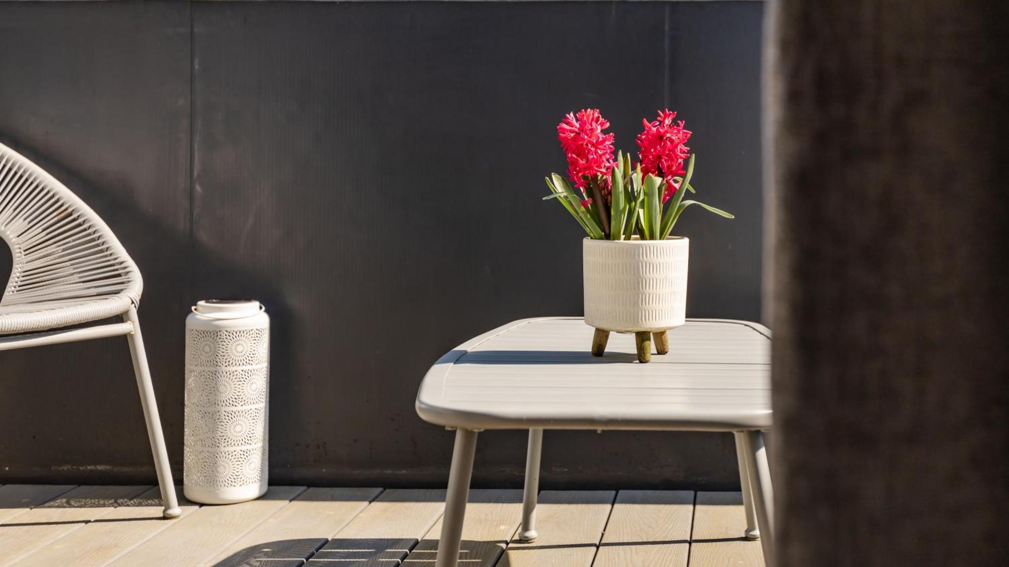 Tucked Away - Seaside Home In Anstruther Sleeps 6 Exteriör bild