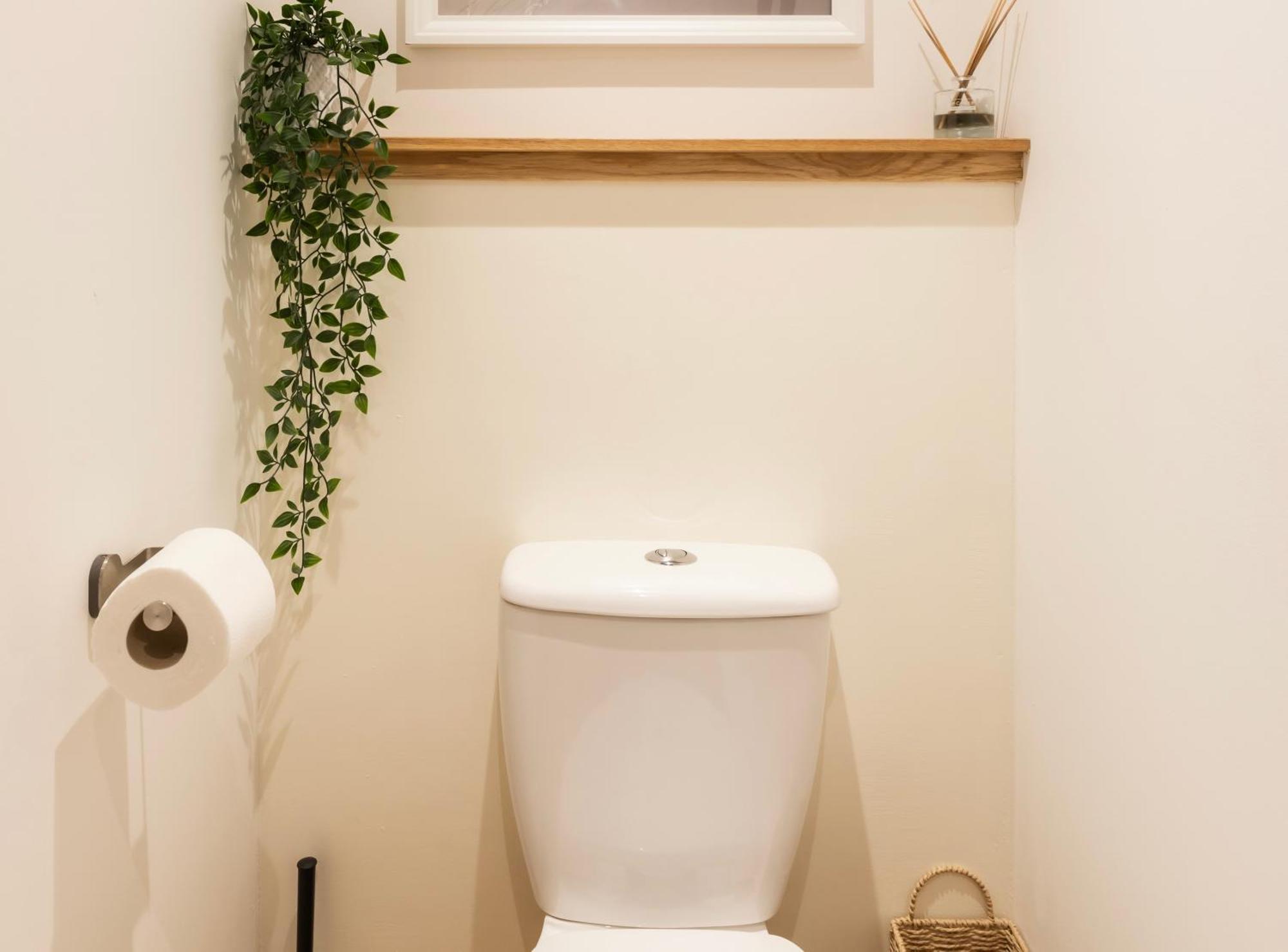 Tucked Away - Seaside Home In Anstruther Sleeps 6 Exteriör bild